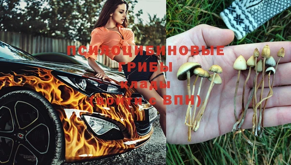 мяу мяу кристалл Баксан