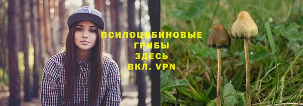 ГАЛЛЮЦИНОГЕННЫЕ ГРИБЫ Армянск
