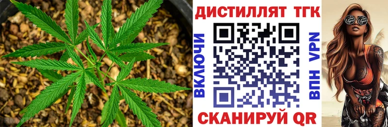 Дистиллят ТГК жижа  Бийск 