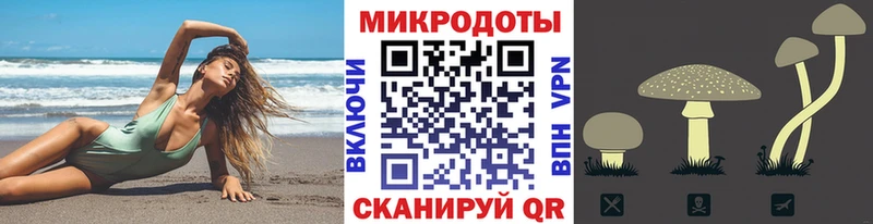 MEGA зеркало darknet наркотические препараты Галлюциногенные грибы Magic Shrooms где можно купить Бийск